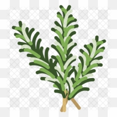 Herbs Icon - Herbs Icons Png,Herbs Png