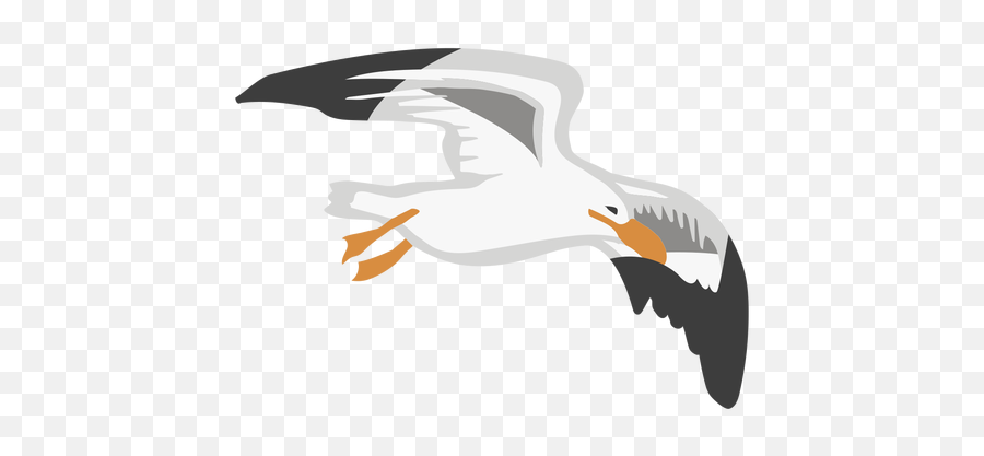 Transparent Png Svg Vector File - Seabird,Seagull Png