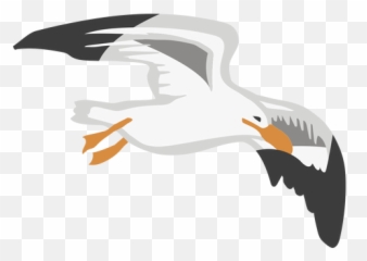 Transparent Png Svg Vector File - Seabird,Seagull Png