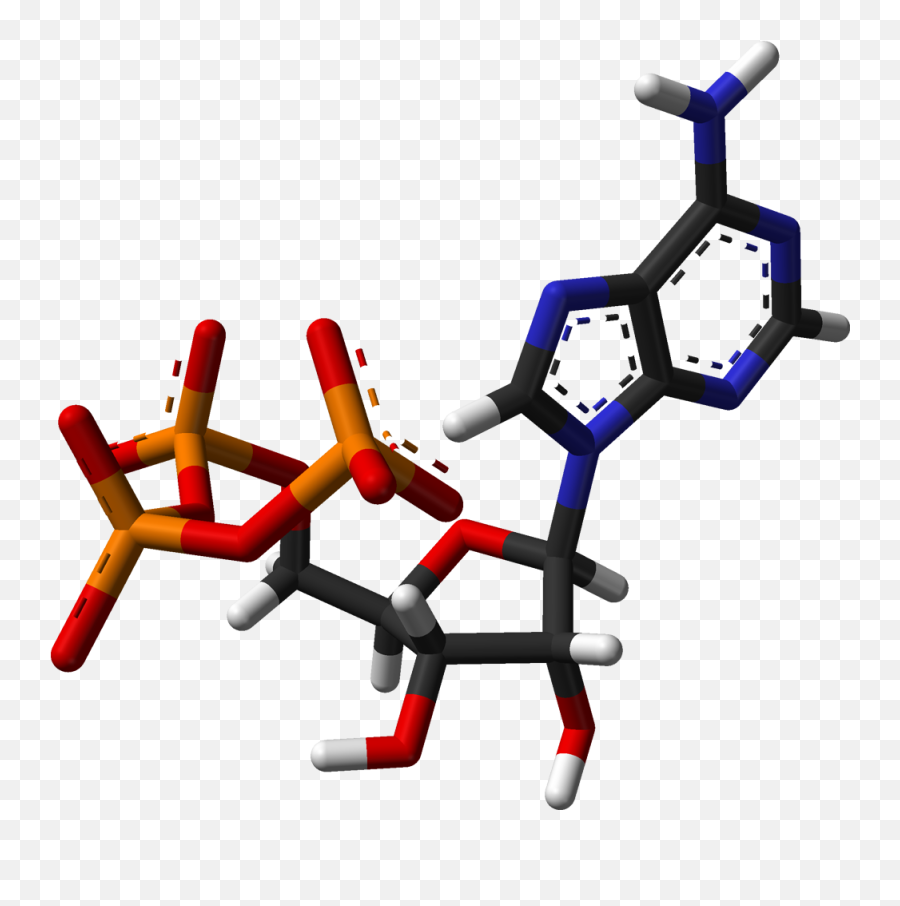 Atp - Caracteristicas Y Sintesis Del Adenosin Trifosfato Atp Png,Sticks Png