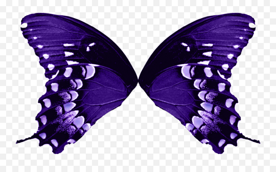 Wing Butterfly Png 3 Image - Butterfly Wings Transparent Background,Purple Butterfly Png