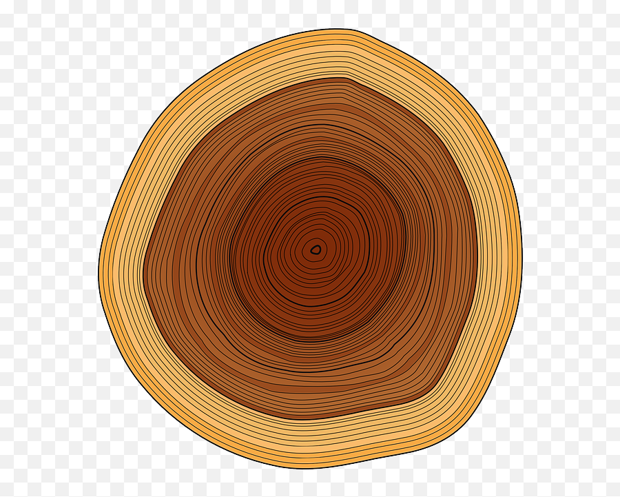 Trunk Tree Rings Wood Timber - Circle Png,Timber Png