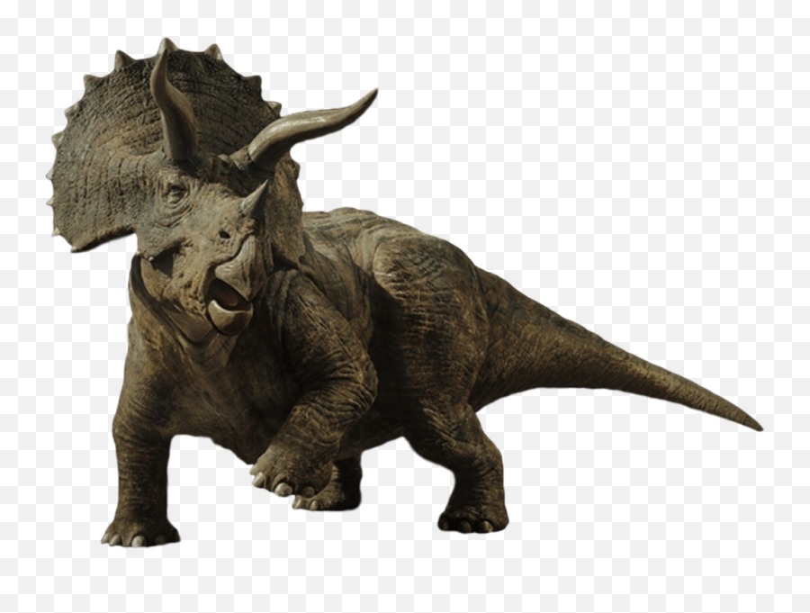 Camo - Jurassic World Fallen Kingdom Triceratops Png,Jurassic Park Png