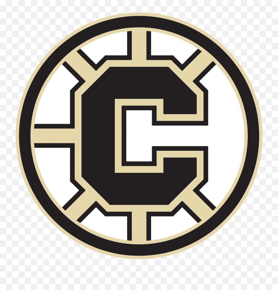 Download Boston Bruins Logo Png - Delisle Chiefs,Boston Bruins Logo Png
