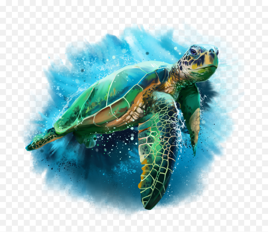 Sea Turtle Clip Art - Watercolor Sea Turtle Png,Turtle Png