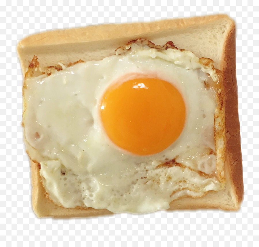 Toast Morning Fried Eggs Egg Breakfast - Fried Egg Png,Fried Eggs Png