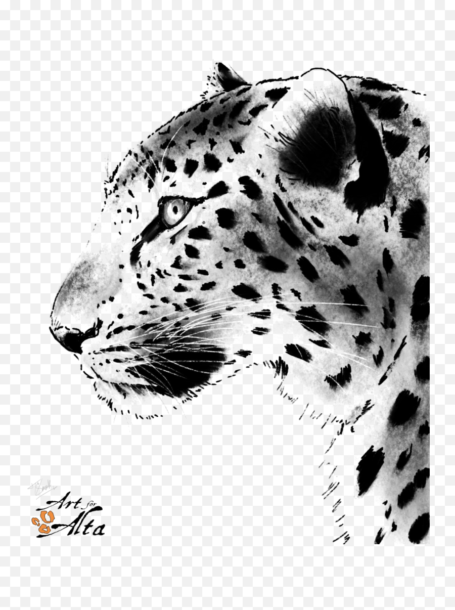 Download Leopard Face Png Picture - Animals Painting Black Amur Leopard Clipart Black And White,Leopard Png