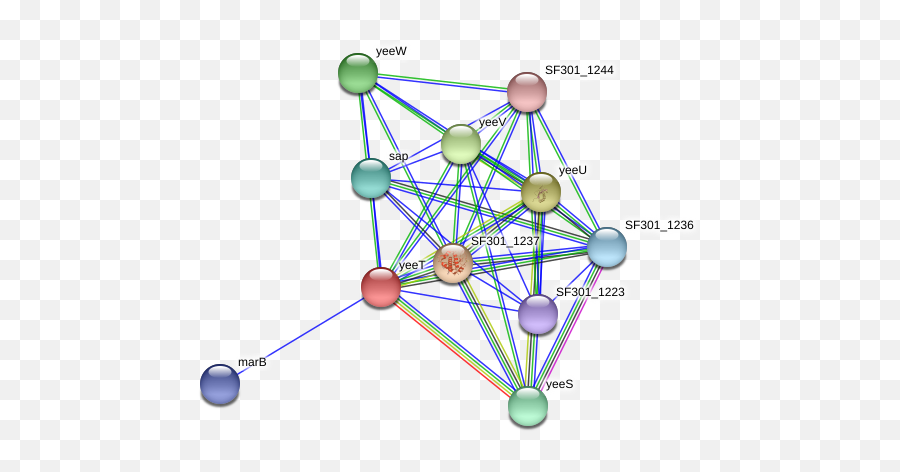 Yeet Protein Shigella Flexneri - String Interaction Network Circle Png,Yeet Png