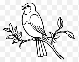 Bird Birds Clipart Black And White Free 1260533 - PNG Cute