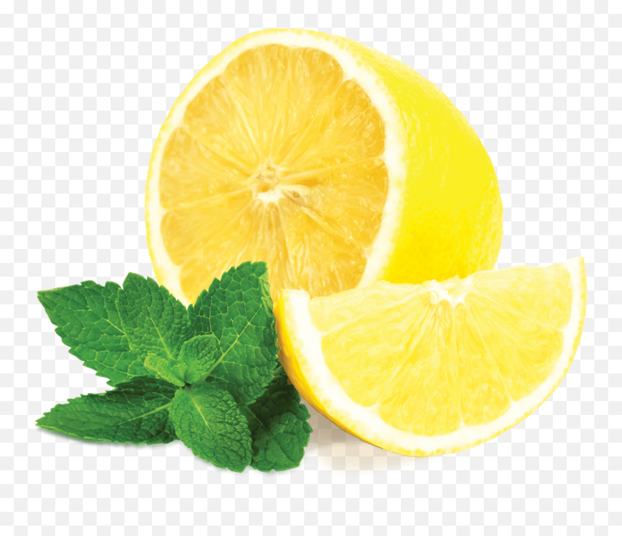 Mint Png Pictures Free Download Leaves Pepermint - Lemon Mint,Mint Leaves Png