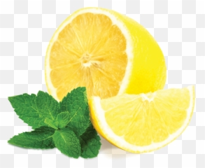 Mint Png Pictures Free Download Leaves Pepermint - Lemon Mint,Mint Leaves Png