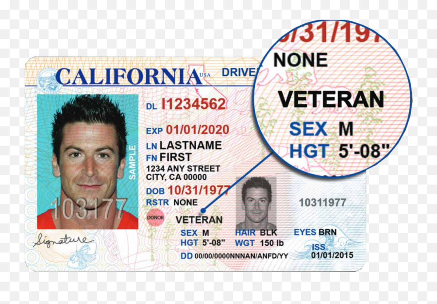 Veteranidpng U2013 Military U0026 Veterans Affairs - Undocumented California License,Veteran Png