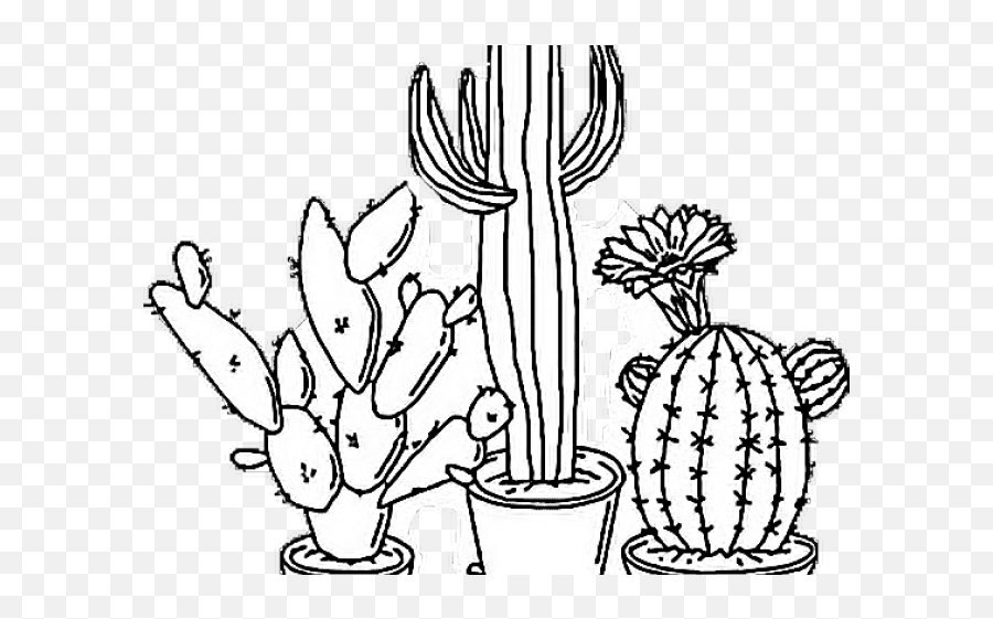 Aesthetic Png Black And White - Black And White Cactus Drawing,Tumblr Png Black