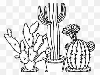 Aesthetic Png Black And White - Black And White Cactus Drawing,Tumblr Png Black