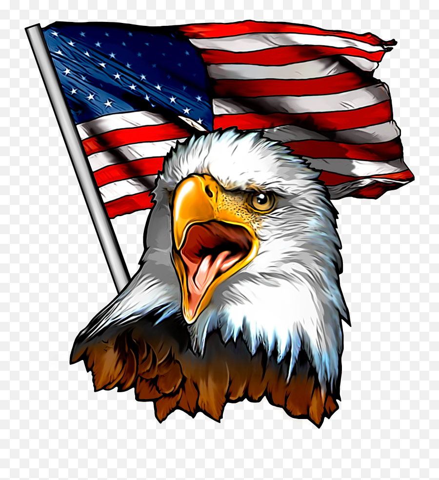 Patriotic Fabric Eagle Custom Png American Flag