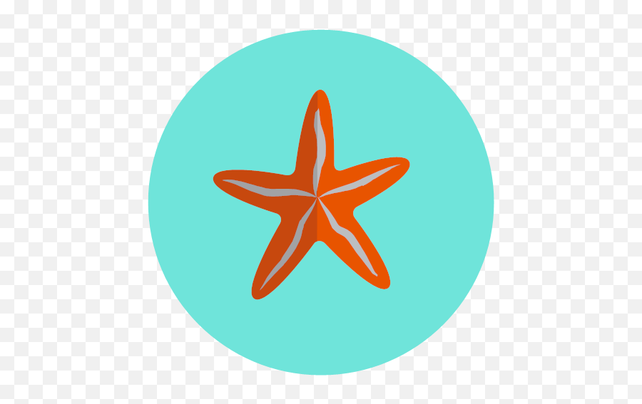 Ocean Sea Star Icon Png