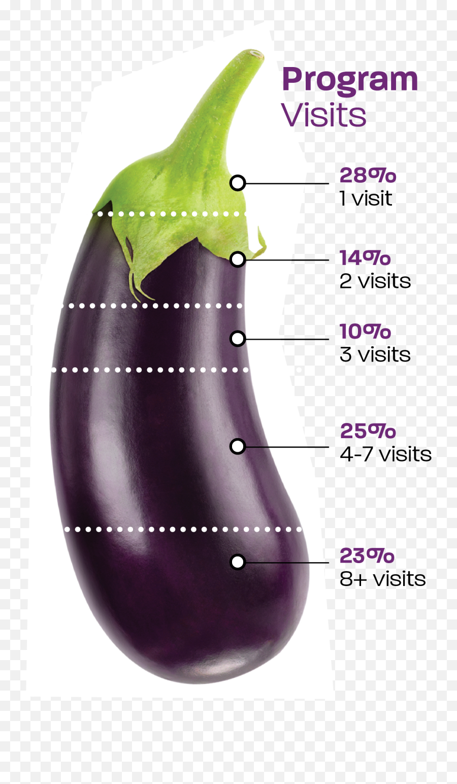 Program Visits - Eggplant The Food Bank Of Waterloo Region Grape Png,Eggplant Transparent