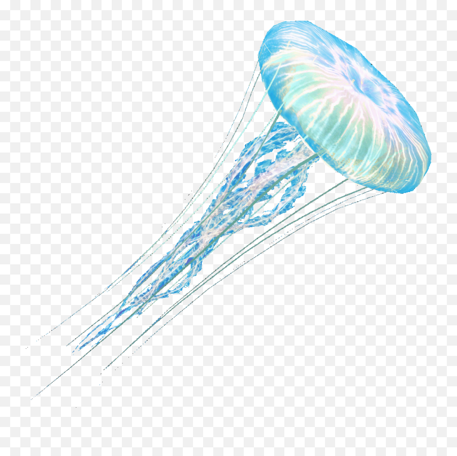 Jellyfish Png Images In Collection - Jellyfish Png,Transparent Jellyfish