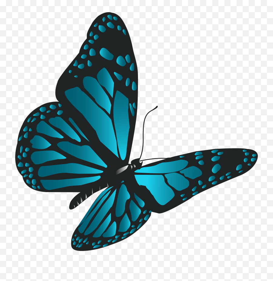 Blue Butterfly Png Clip Art Butterflies