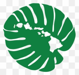Medicaid Hds - Hawaii png