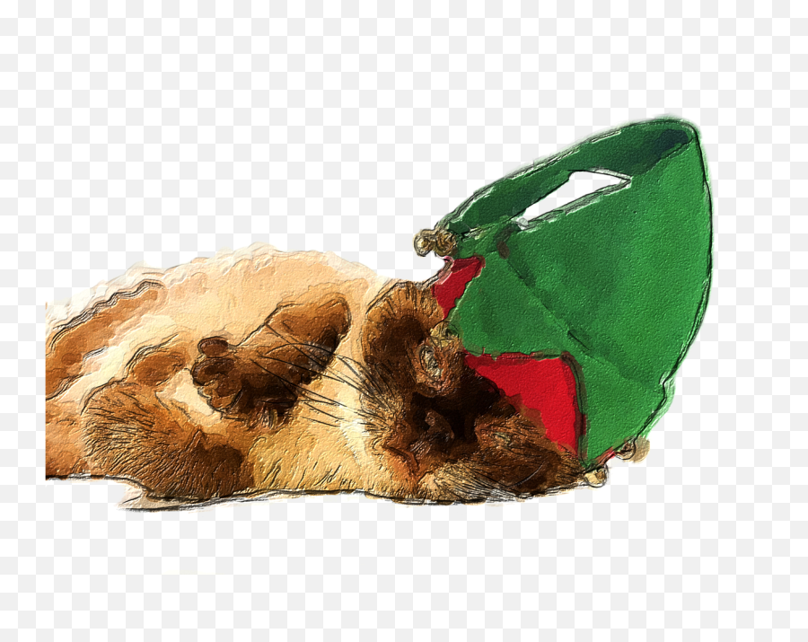Christmas Cat Png Images Transparent Free Download Pngmart Icon