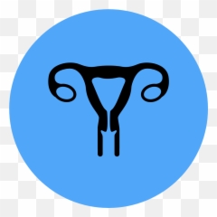 Cases By Category U2013 Em Sim - Uterus Icons png