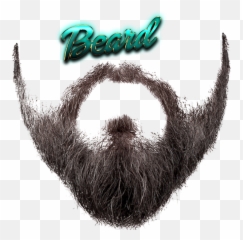 Download Beard Free Png Image - Transparent Background