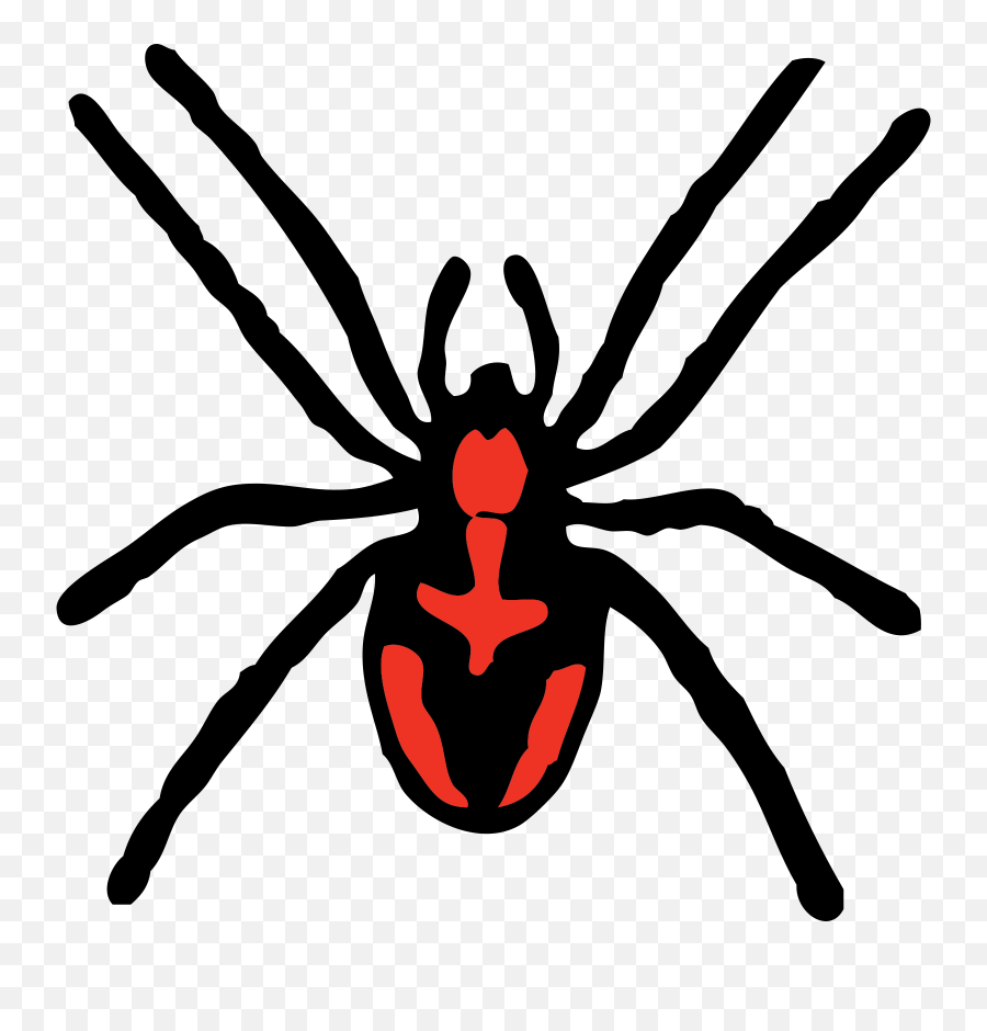 Spider Black Widow Bugs - Free Vector Graphic On Pixabay Spider Clipart Png,Black Widow Png
