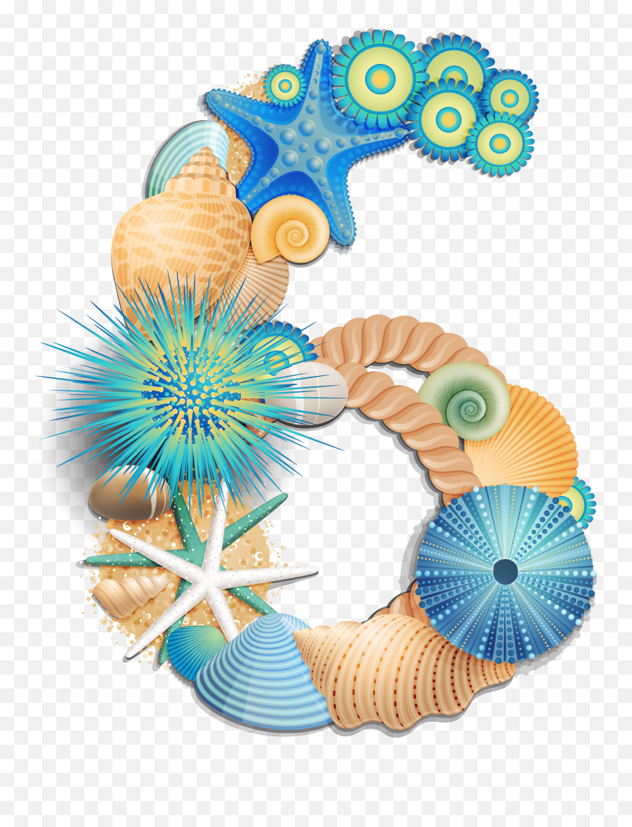 Transparent Number Six Sea Style Png Clipart Picture Concha
