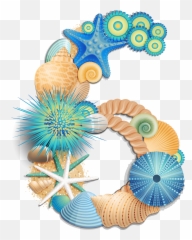Transparent Number Six Sea Style Png Clipart Picture Concha