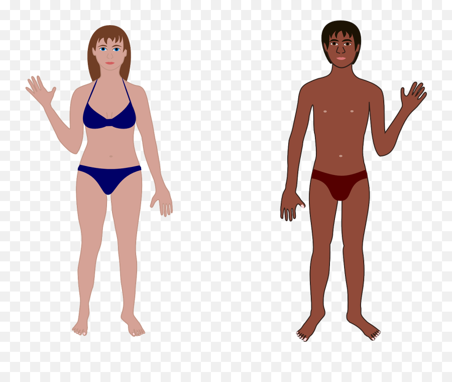 Human Man Woman Bathing - Free Vector Graphic On Pixabay Human Body Cartoon Female Png,Man In Suit Png