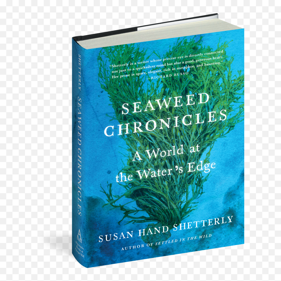 Seaweed Chronicles And Trout Tales - The Mike Nowak Show Book Cover Png,Seaweed Png