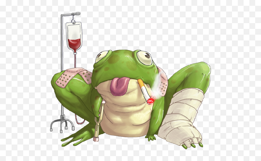 U2022u2022u203fu2040 Frogs U203fu2040u2022u2022 Cute Frog Cartoon Images - Get Well Soon Png,Frog Transparent Background