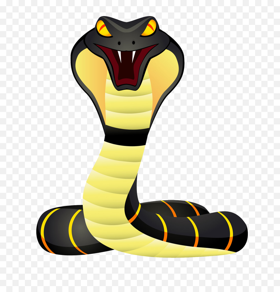 Download Cute Snake Png Image - King Cobra Cartoon Snake,Snake Transparent Background