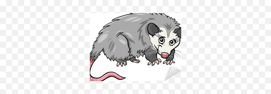 Opossum Animal Cartoon Illustration Sticker U2022 Pixers We Live To Change - Opossum Cartoon Png,Opossum Png