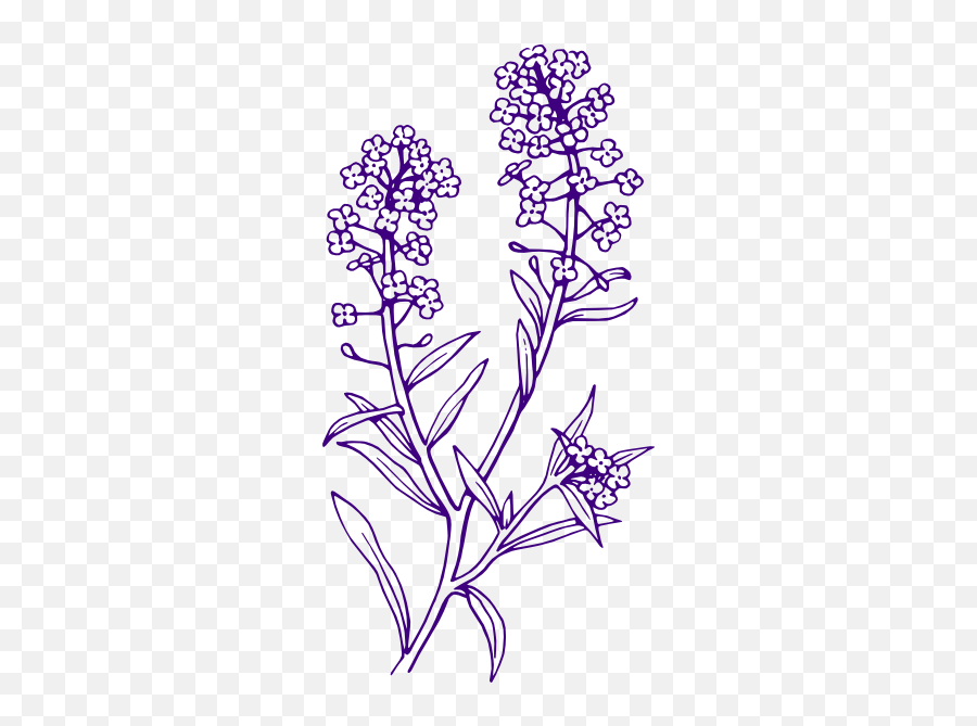 Purple Filler Flowers Png Clip Arts For Web - Clip Arts Free Lavender Clipart Black And White,Flowers Clip Art Png