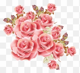 Transparent flowers png images