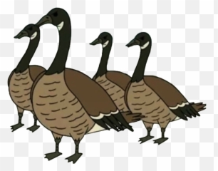 Download Geese - Regular Show Geese Png,Geese Png