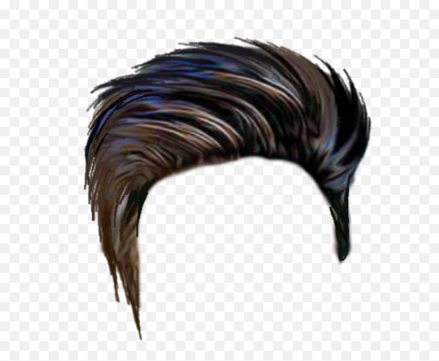 Hair Png Image - Hair Style Png Hd,Skunk Transparent