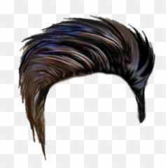 Hair Png Image - Hair Style Png Hd,Skunk Transparent