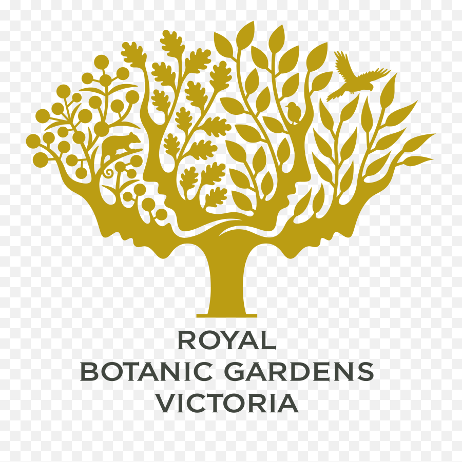 Eucalyptus Png - Story Credits Royal Botanic Gardens Logo Royal Botanic Gardens Logo,Eucalyptus Png