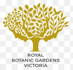 Eucalyptus Png - Story Credits Royal Botanic Gardens Logo Royal Botanic Gardens Logo,Eucalyptus Png