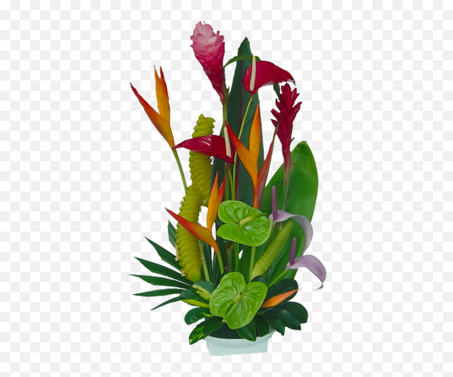 Tropical Flowers Florida Landscaping 20710 - Flower Png,Tropical Flowers Png
