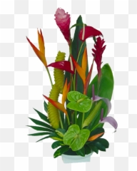 Tropical Flowers Florida Landscaping 20710 - png