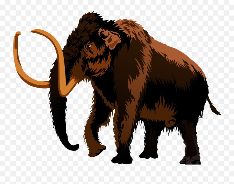 Download Hd Mammoth Clip Art U0026 Images - Mammoth Transparent Mammoth La Brea Tar Pits Titans Png,Mammoth Png