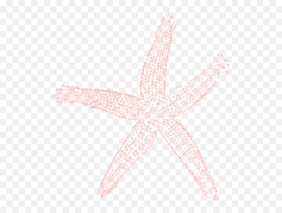 Coral Starfish Png U0026 Free Starfishpng Transparent - Fish Clip Art,Starfish Png