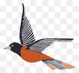 Maryland Orioles - Old World Flycatchers Png,Orioles Logo Png