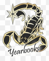 Hesperia High School - Hesperia High School Mascot Png,Ballislife Logo