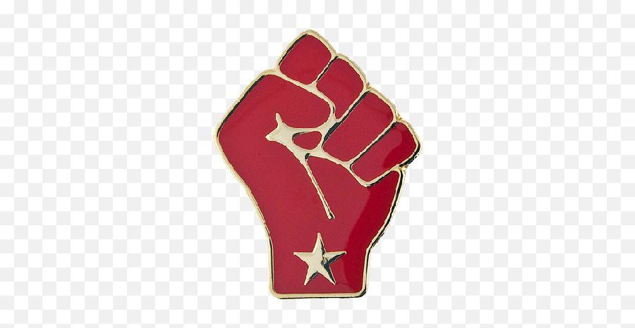 Video Debbie Saslaw Png Raised Fist