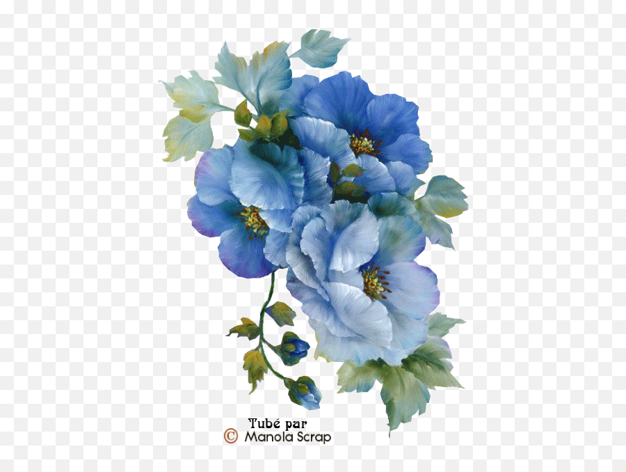 Tubes Fleurs Page - Retro Vintage Transparent Flowers Full Decoupage Designs For Printing Png,Transparent Flowers